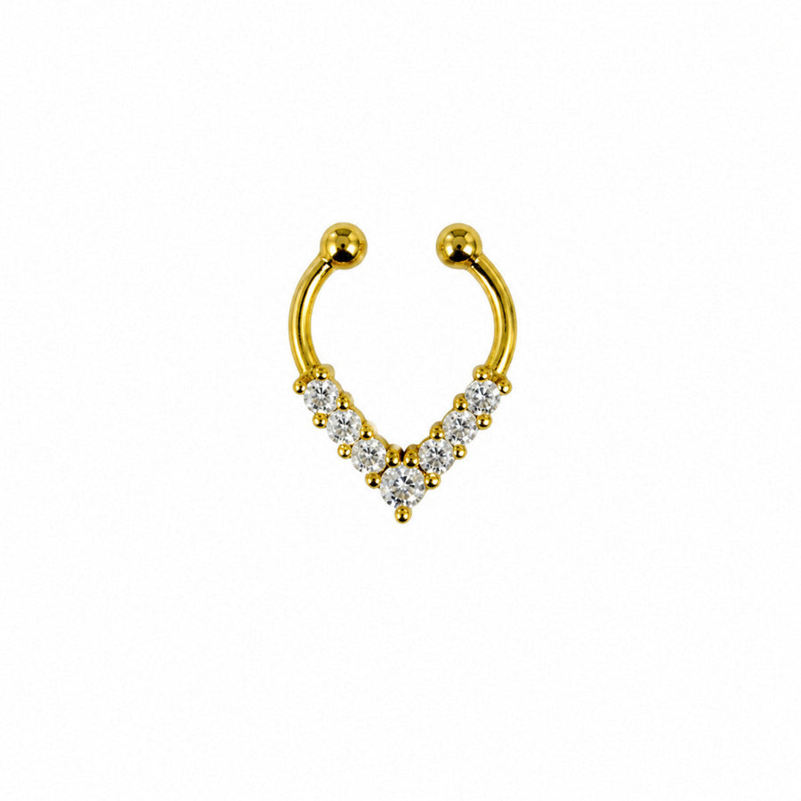 Arc & Light Septum Ring