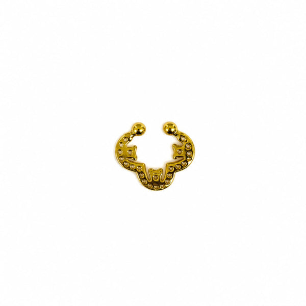 Curva Septum Ring