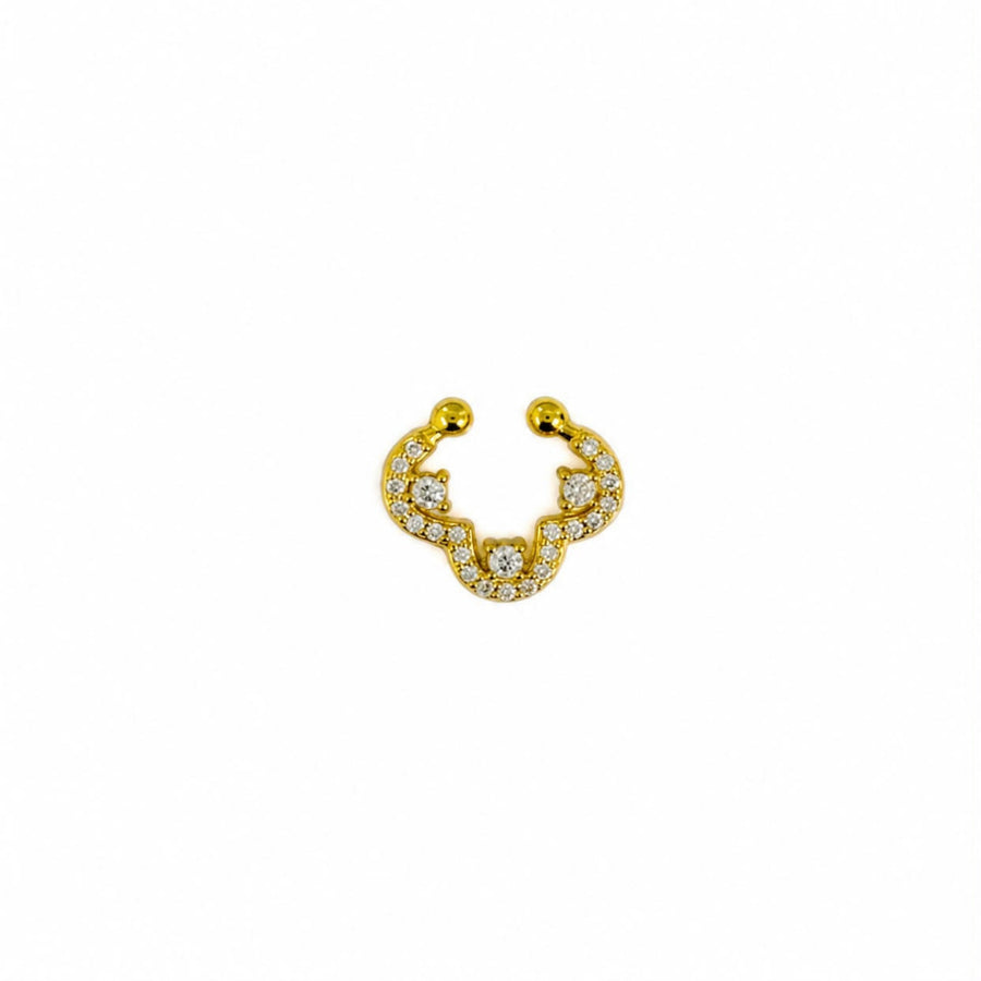 Curva Septum Ring